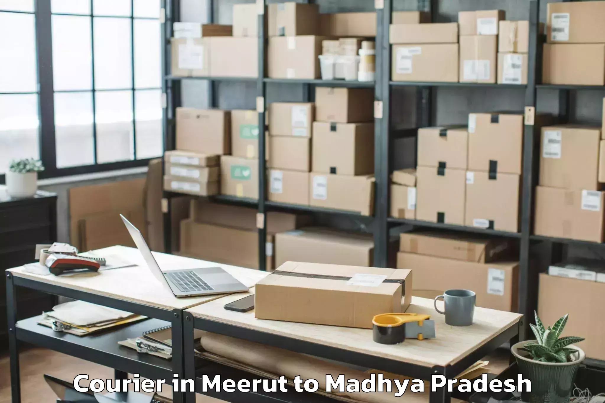 Leading Meerut to Nasrullaganj Courier Provider